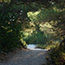 A gravel path between Zdrilca and Mlini bays