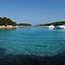 Bay Zdrilca