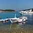Bay Zdrilca