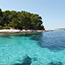 Bay Zdrilca