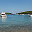 Bay Zdrilca
